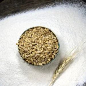 jau aata, barley flour, jau ka aata